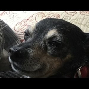 Meet your Posher, Grace